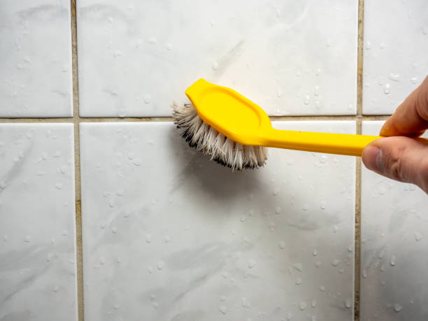  Palmview South, TX Mold Removal Pros