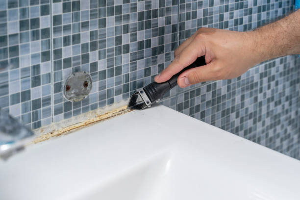 Best Residential Mold Removal  in Palmview South, TX